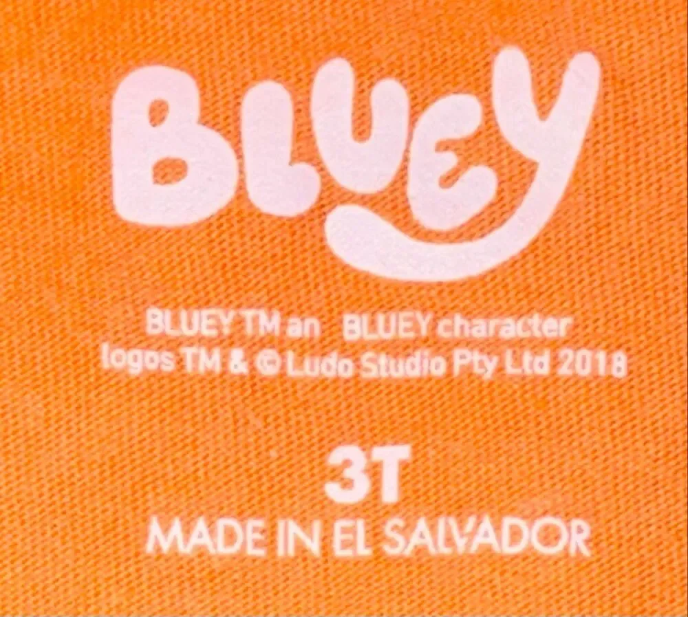 Bluey Halloween shirt size 3T